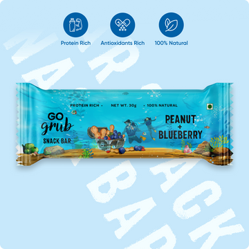 Peanut Blueberry Snack Bar | 5g Protein | Pack of 10 Bars