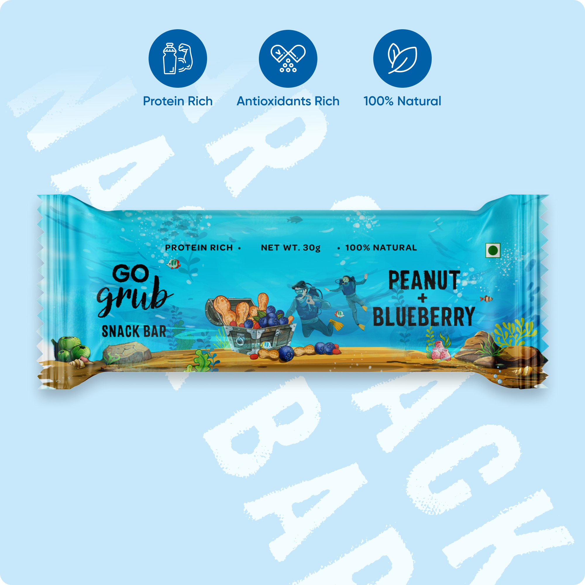 Peanut Blueberry Snack Bar | 5g Protein | Pack of 10 Bars